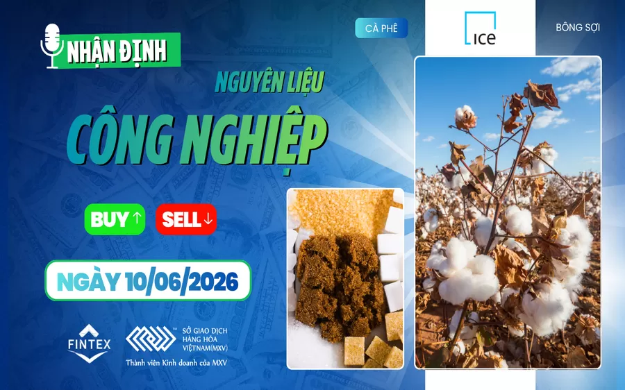 NHẬN ĐỊNH NGUYÊN LIỆU - CÔNG NGHIỆP NGÀY 10/06/2026
